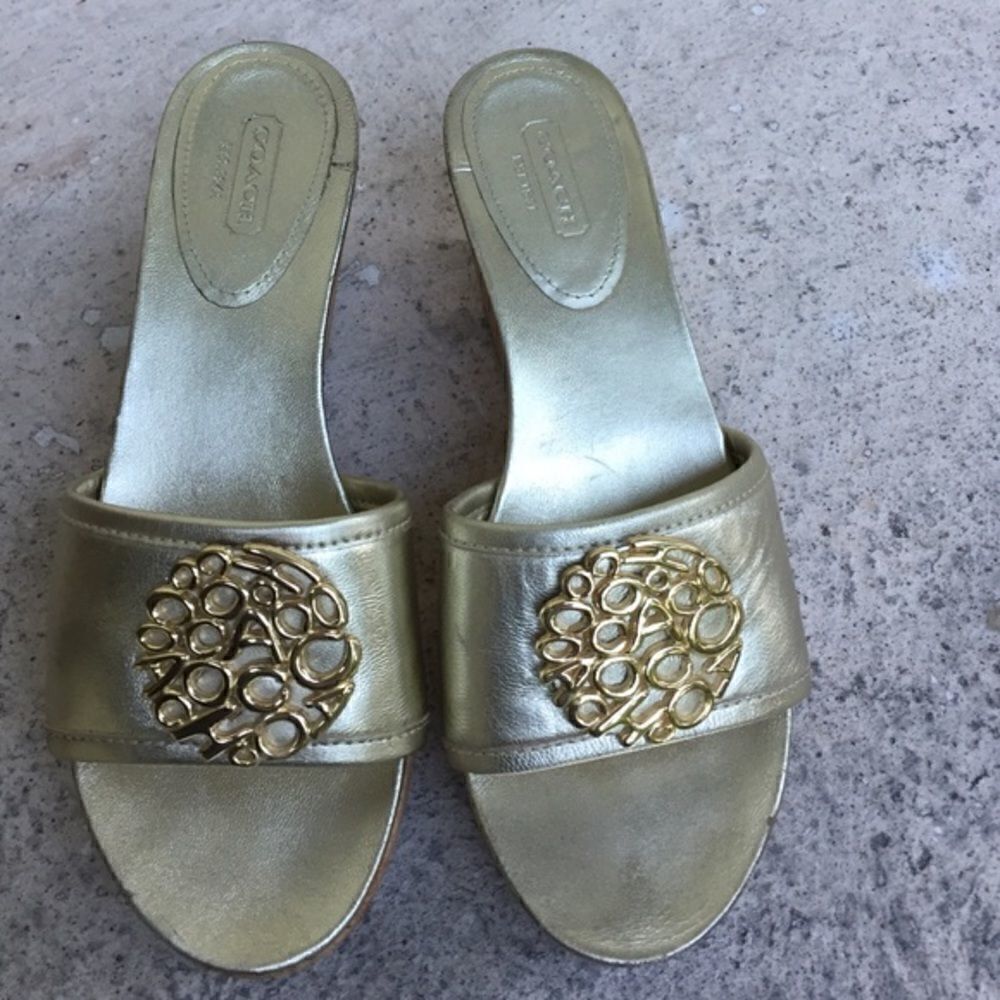 Cork wedges 